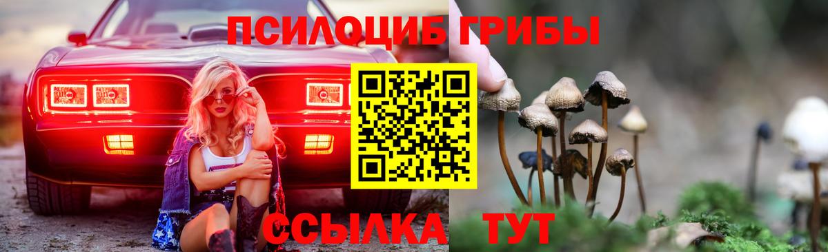 Муром  Псилоцибиновые грибы MAGIC MUSHROOMS  Вход с VPN  Галлюциногенные грибы Psilocybine cubensis 